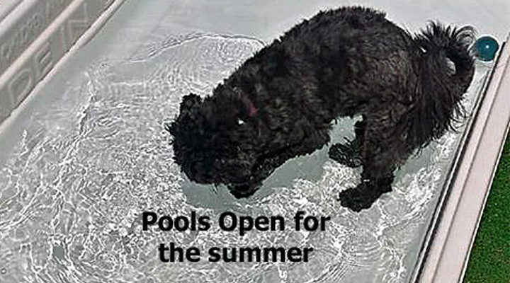 Pools open